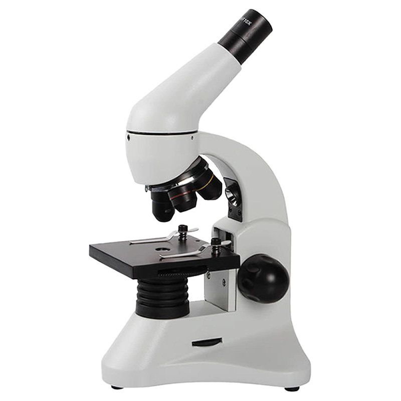 Versatile Microscope Set with LED Light and Vernial Scale